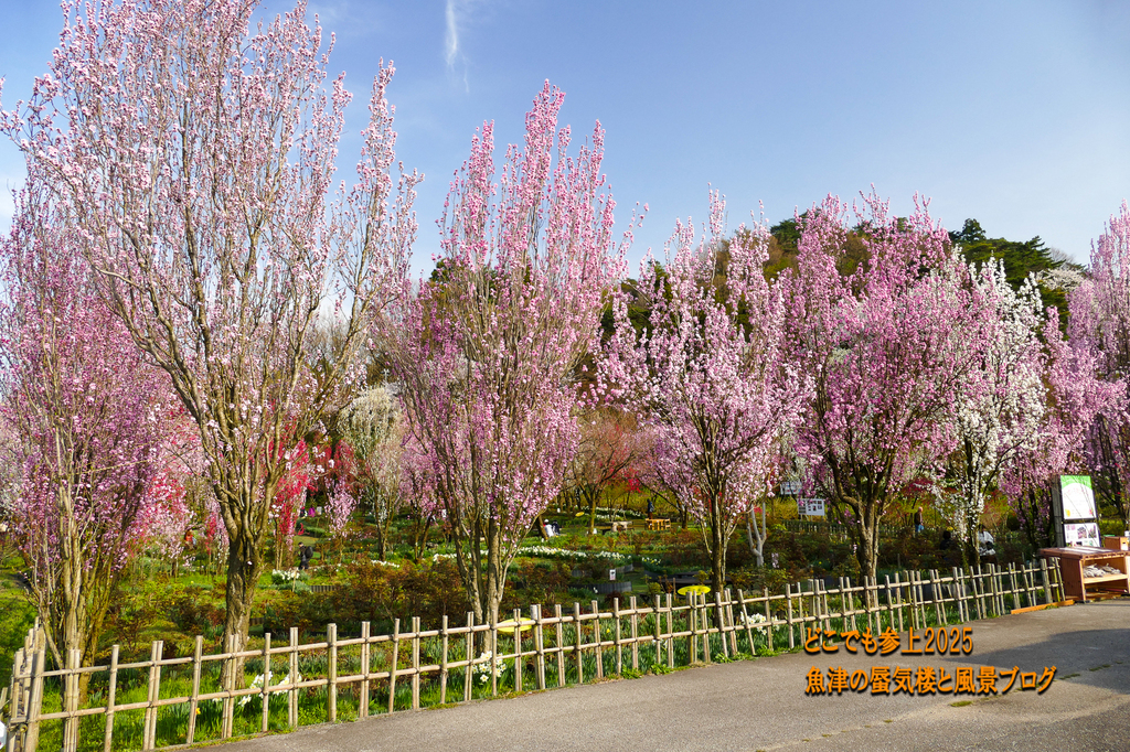 P1570433.jpg