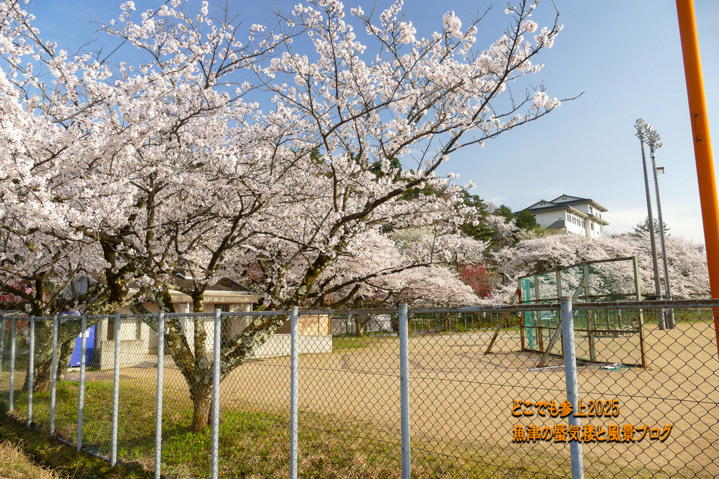 P1570448.jpg