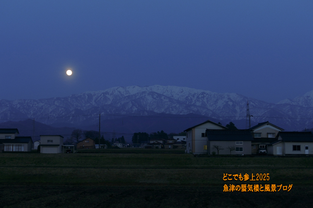 P1570507.jpg