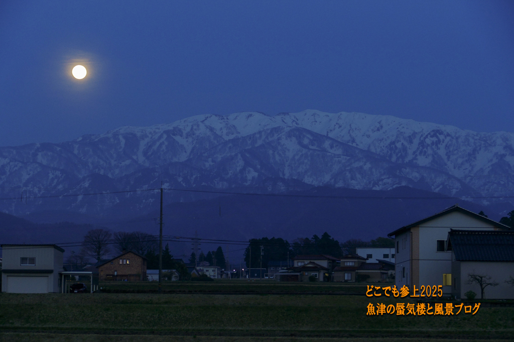 P1570551.jpg