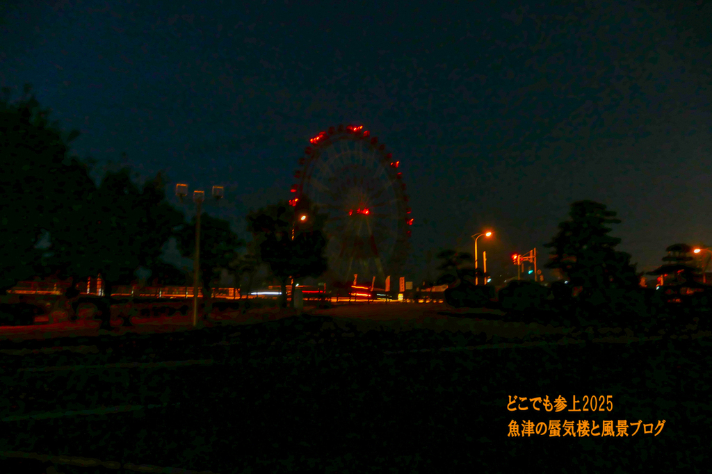 P1570562.jpg