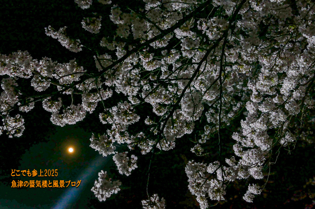 P1570575.jpg