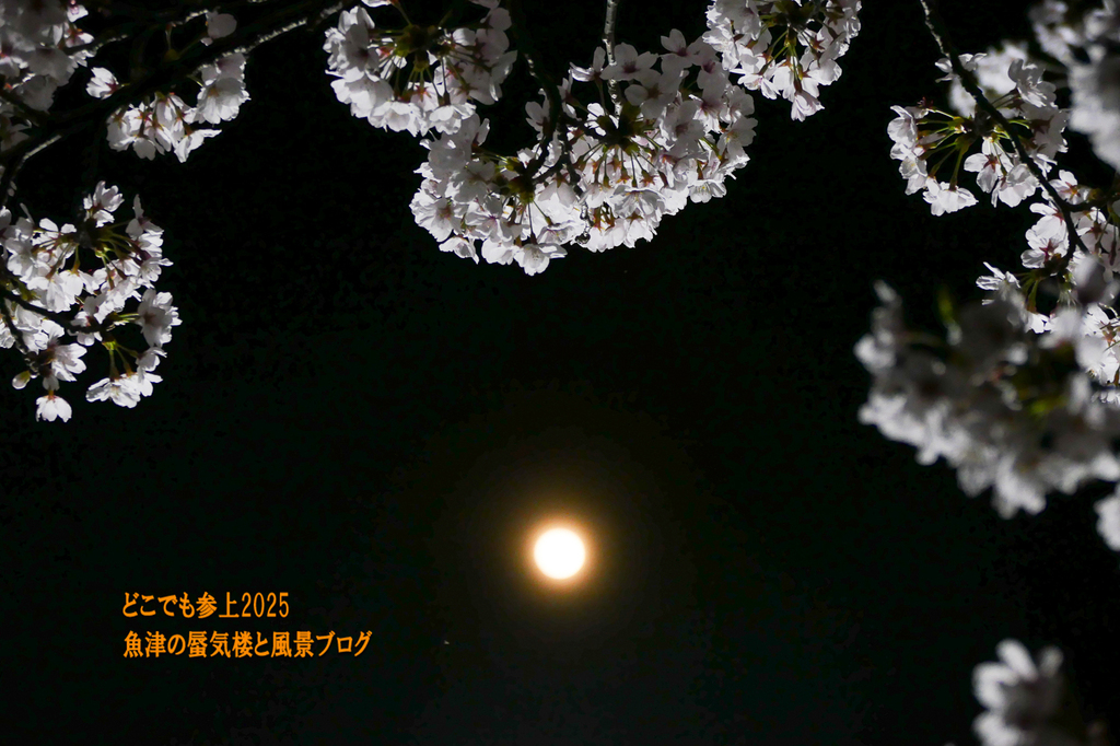 P1570579.jpg