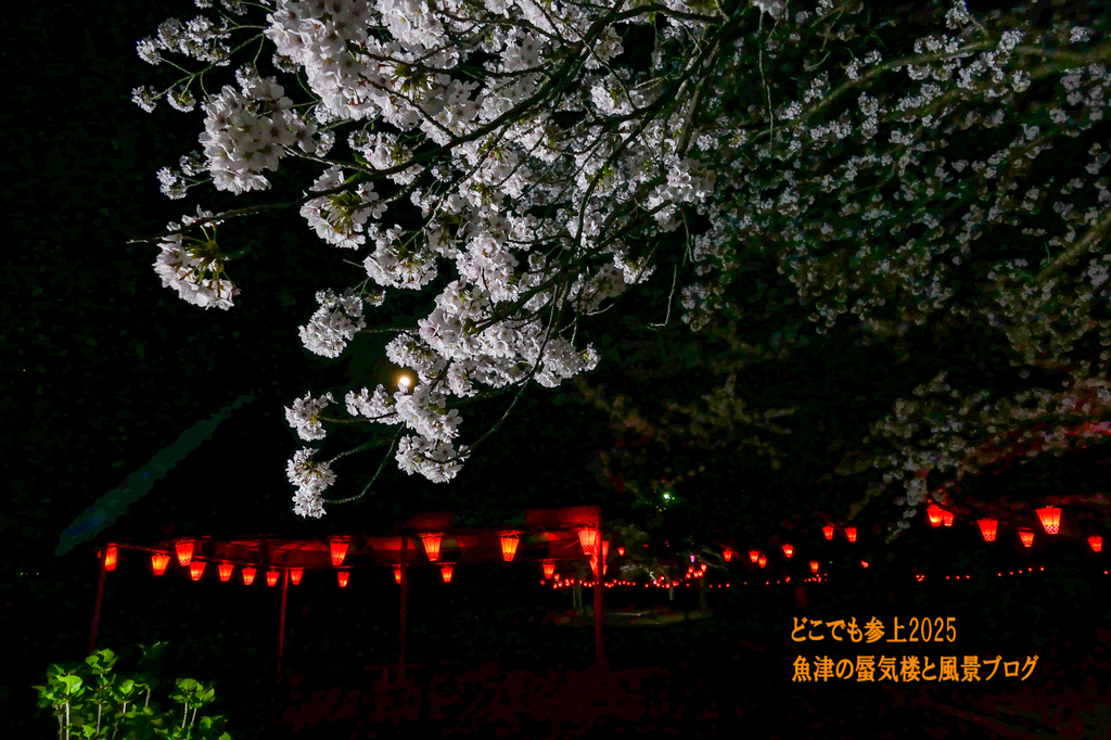P1570585.jpg