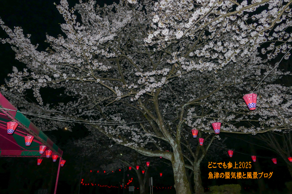 P1570591.jpg