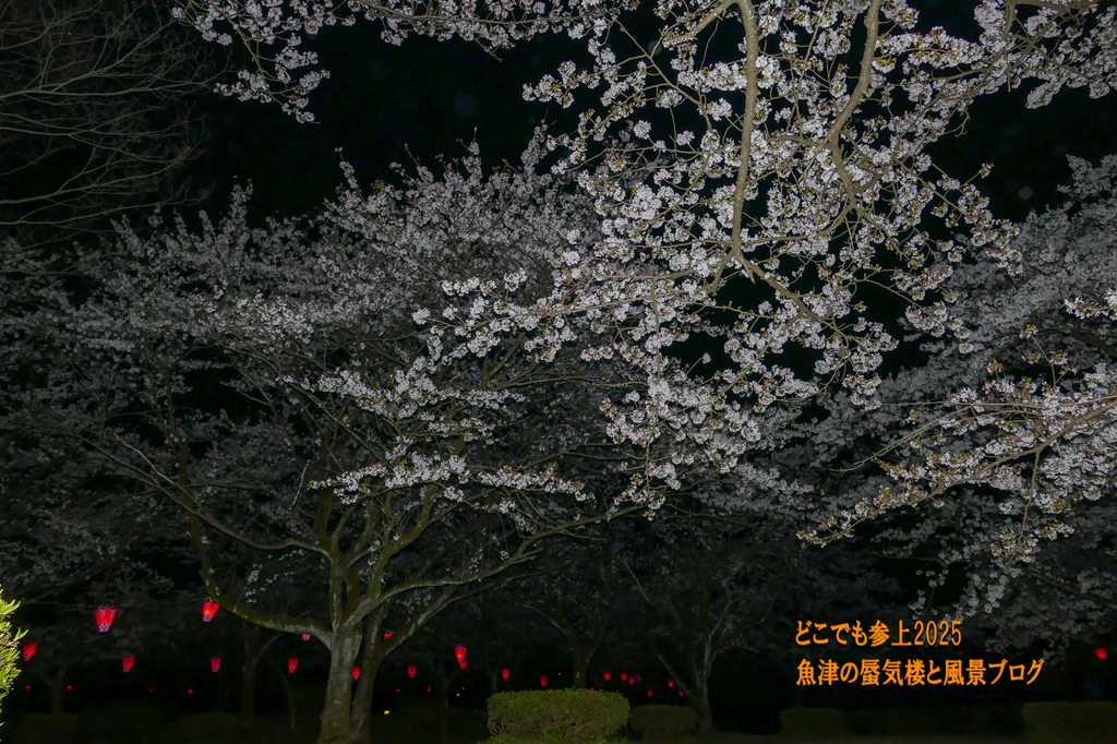 P1570594.jpg
