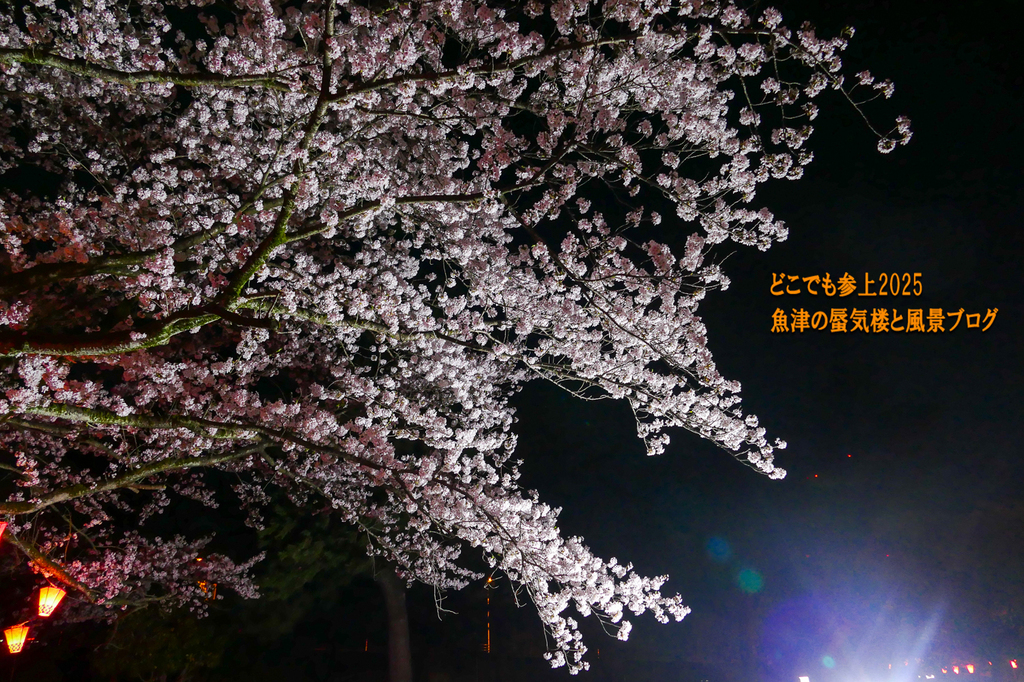 P1570600.jpg