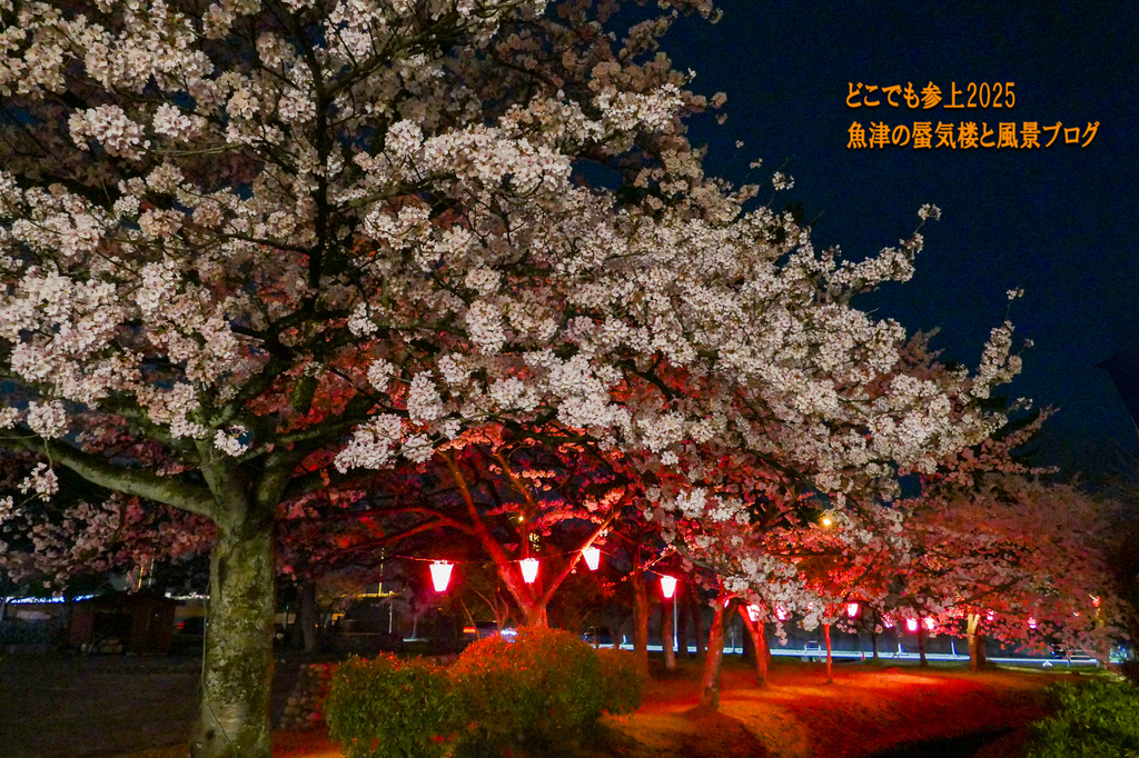 P1570639.jpg
