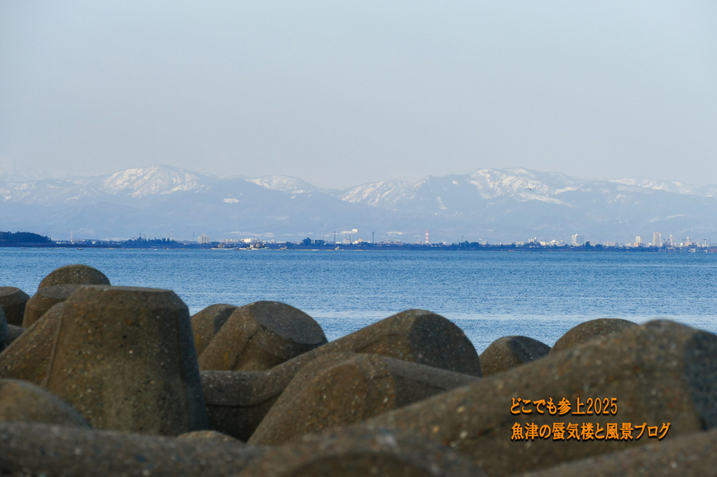 P1570647.jpg