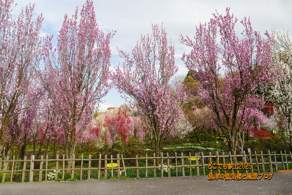 P1570723.jpg