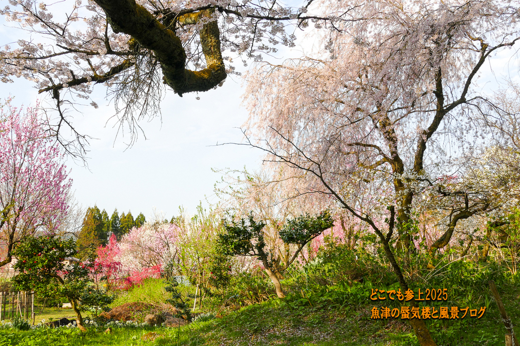 P1570743.jpg