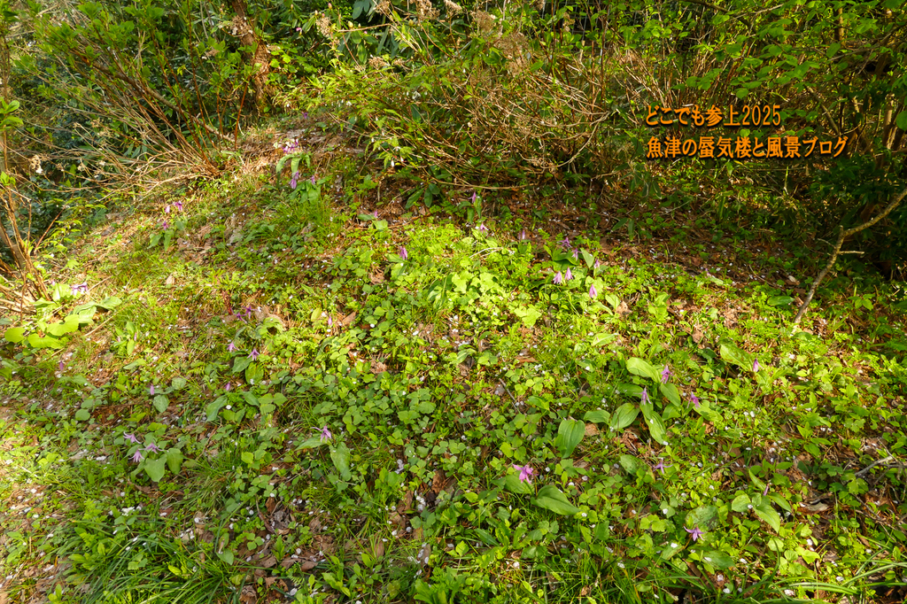 P1570745.jpg
