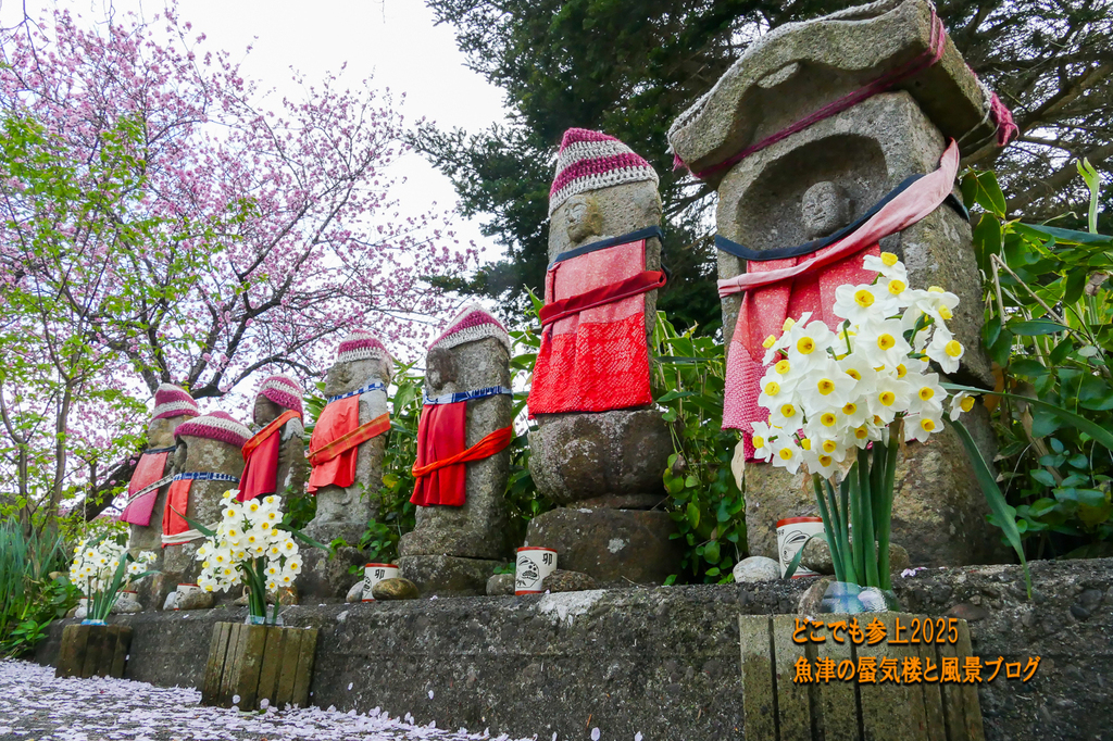 P1570821.jpg