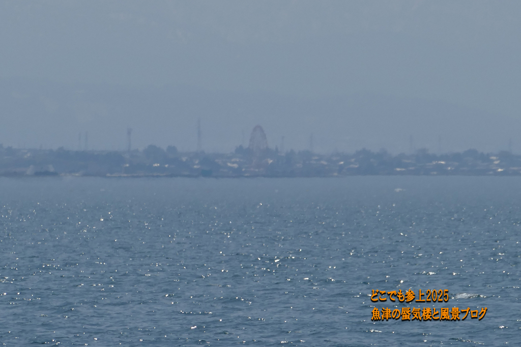 P1580012.jpg