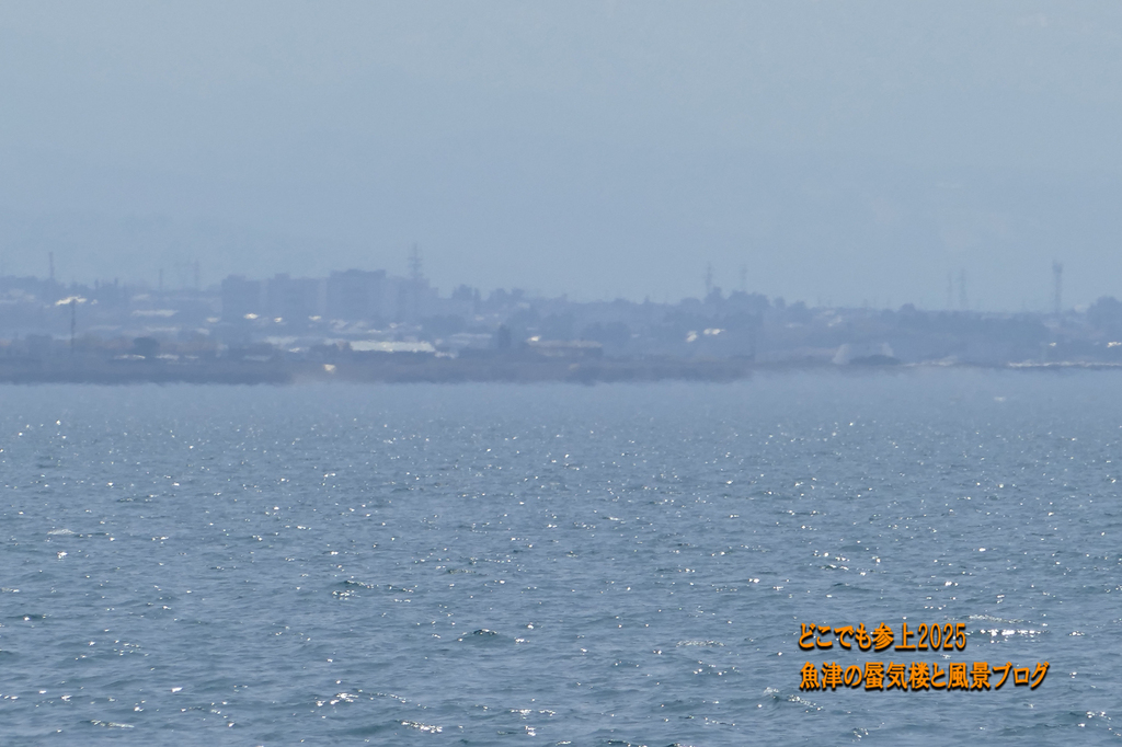 P1580014.jpg