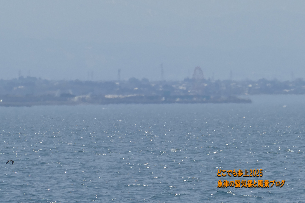 P1580027.jpg