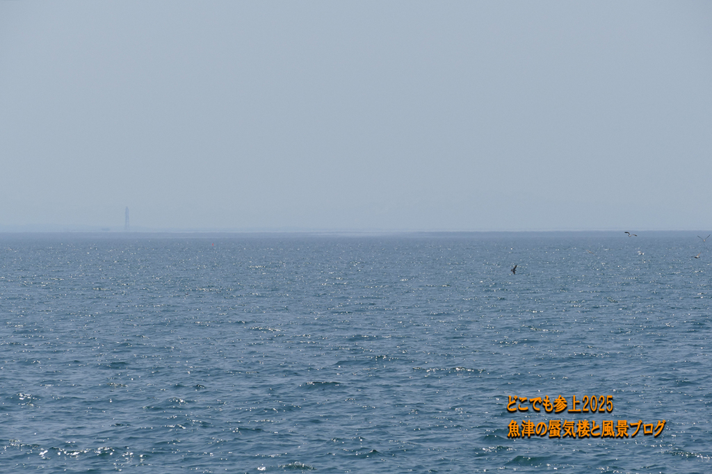 P1580034.jpg
