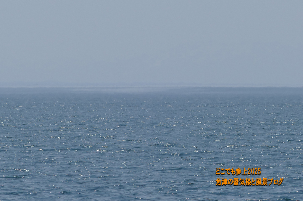P1580036.jpg