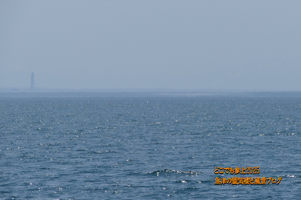 P1580052.jpg