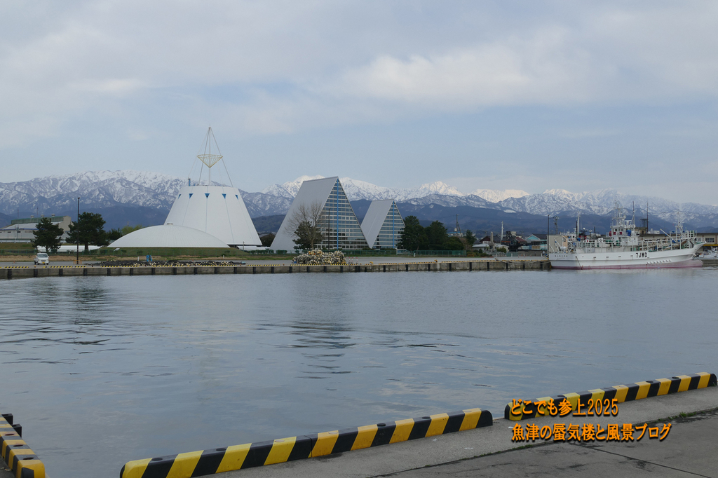 P1580105.jpg