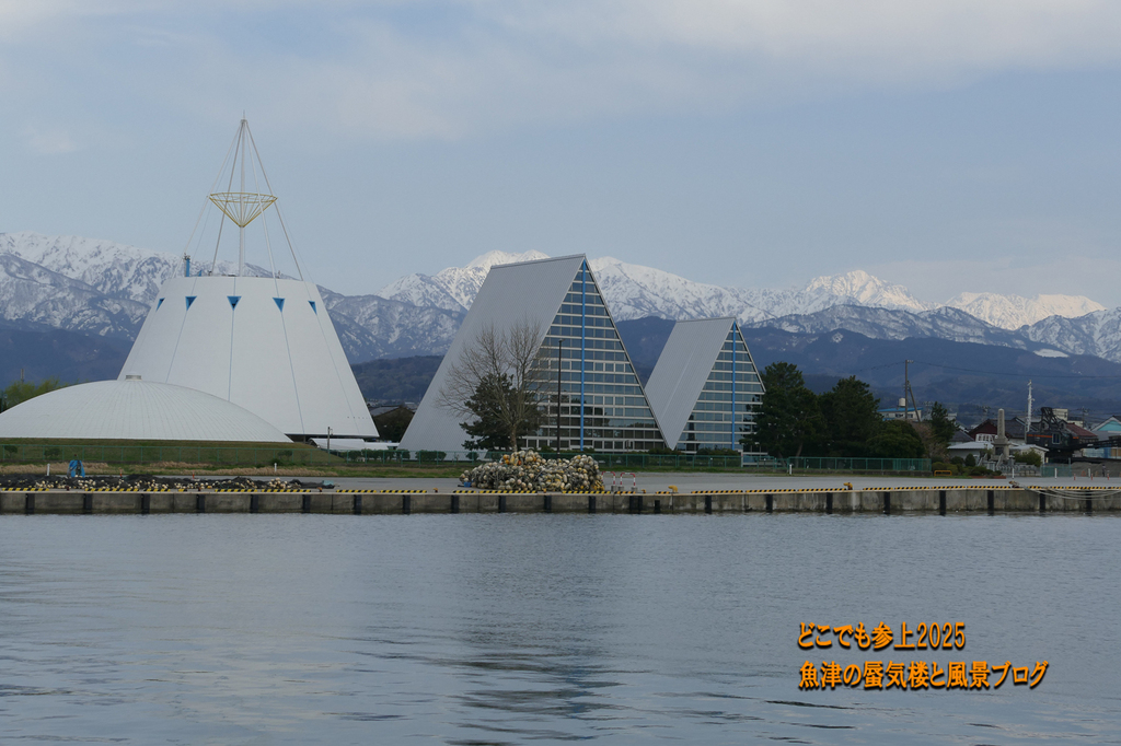 P1580107.jpg