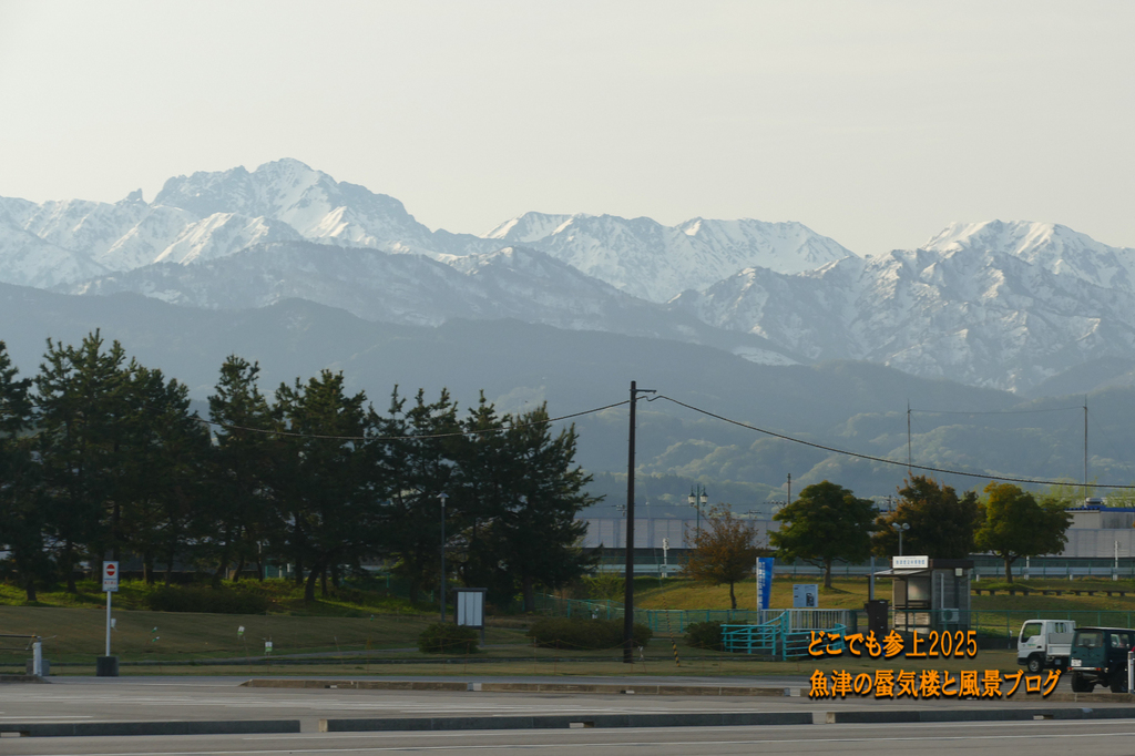 P1580330.jpg
