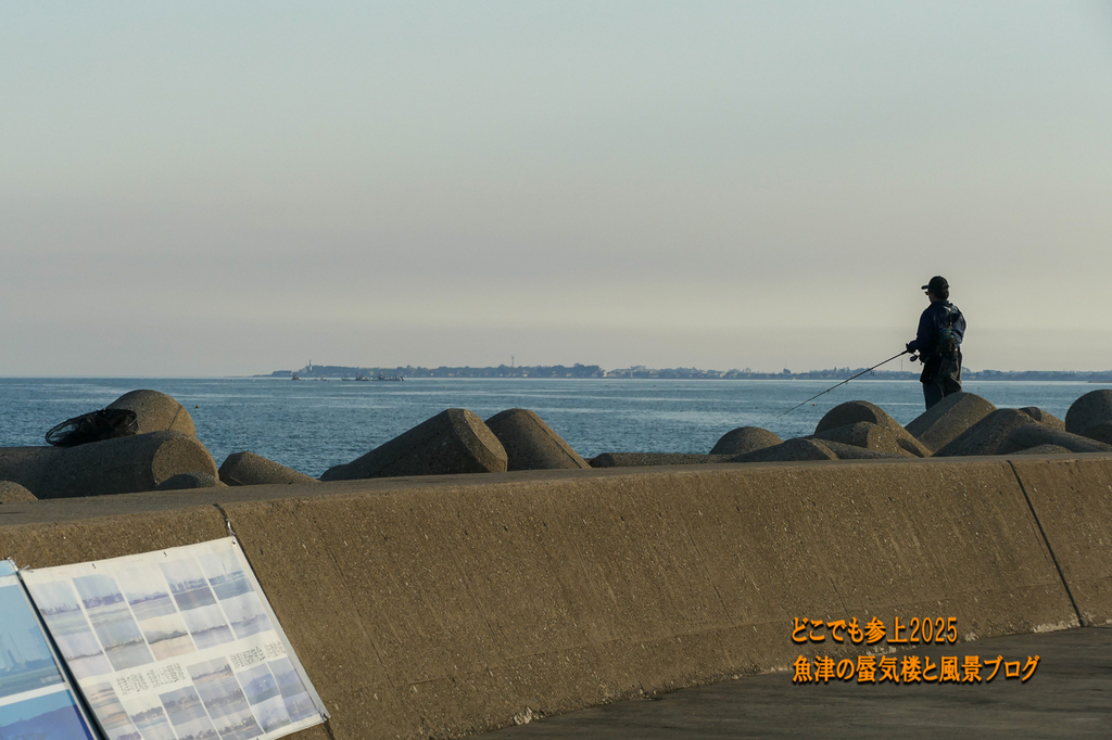 P1580341.jpg