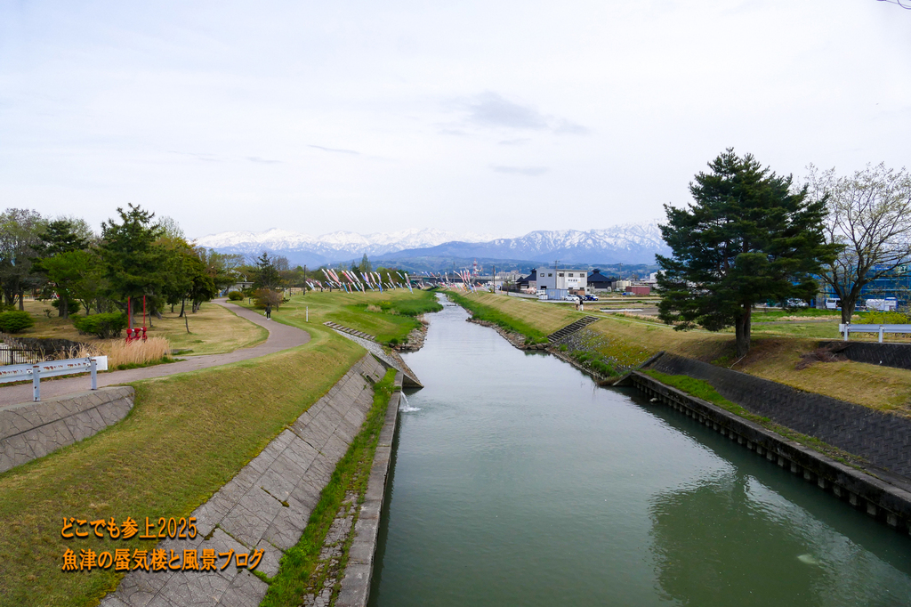 P1580730.jpg