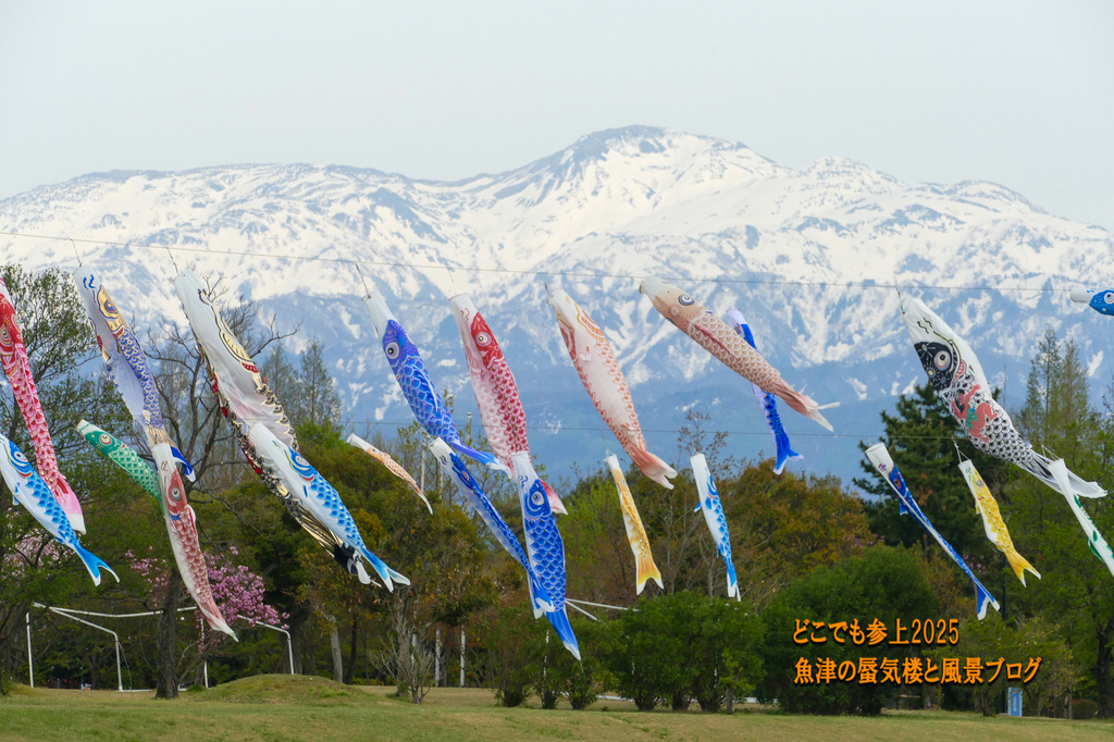 P1580744.jpg