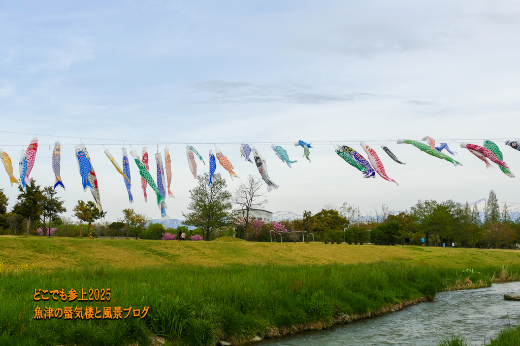 P1580755.jpg