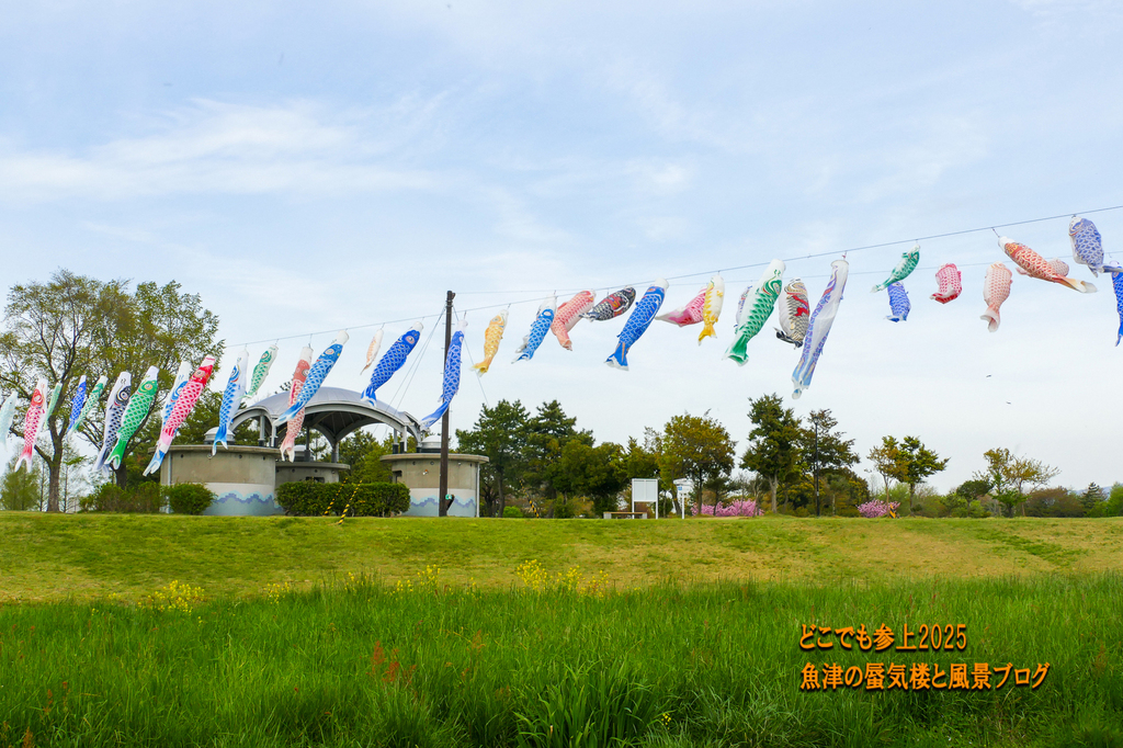 P1580757.jpg