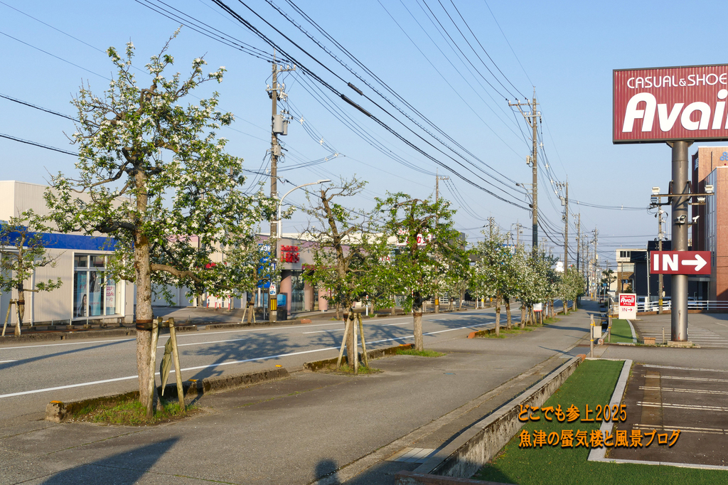 P1590244.jpg