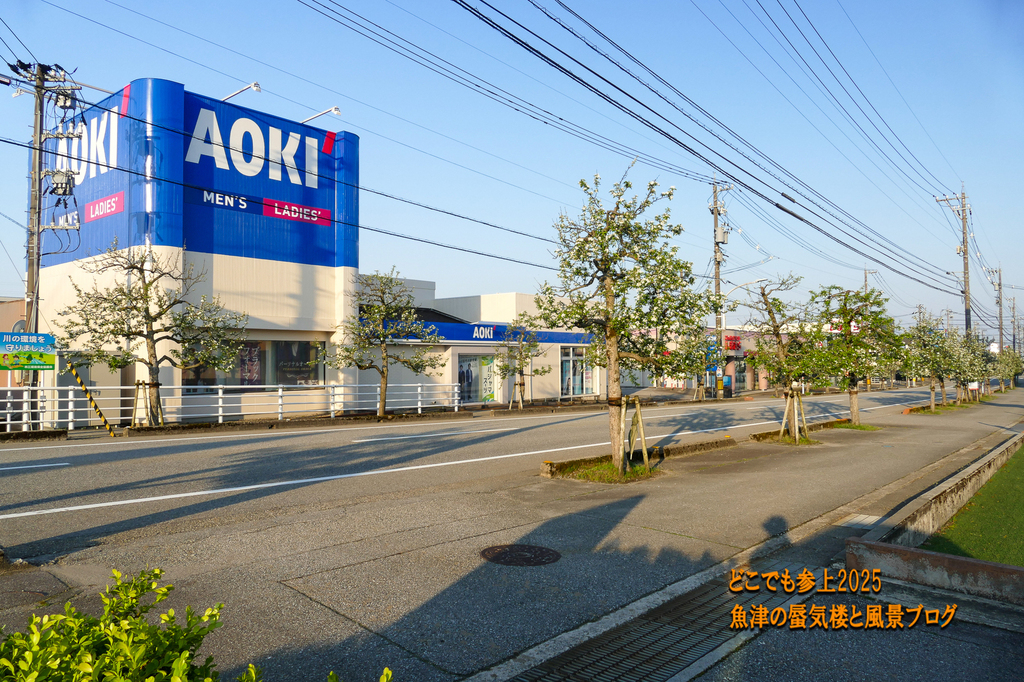 P1590247.jpg