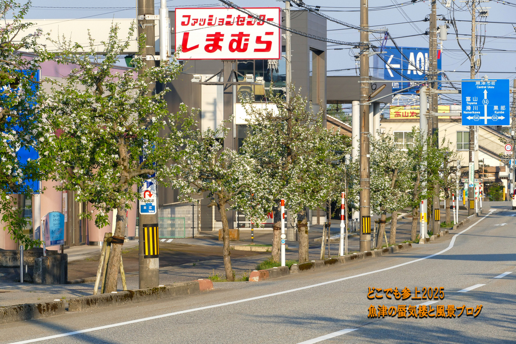 P1590251.jpg