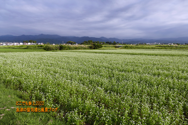 P3540757.JPG